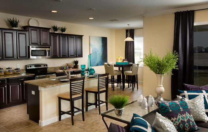 Riverview Florida Homes - Riverview FL Real Estate