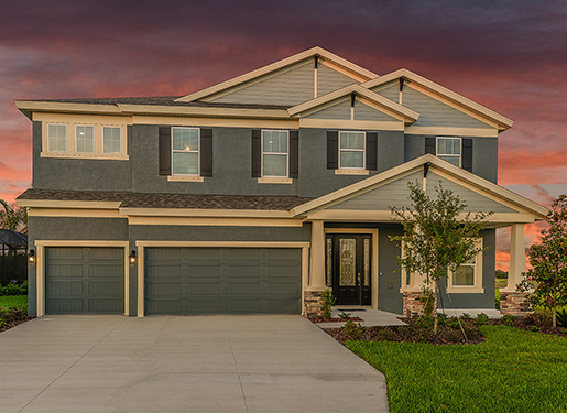 2017, New Year , New Home , Land O Lakes , Florida