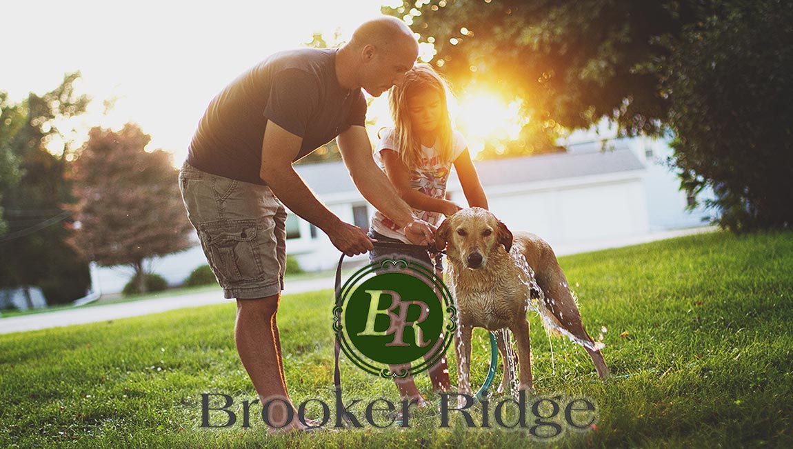 DR Horton Homes | Brooker Ridge Brandon Florida Real Estate | Brandon Realtor | New Homes for Sale | Brandon Florida