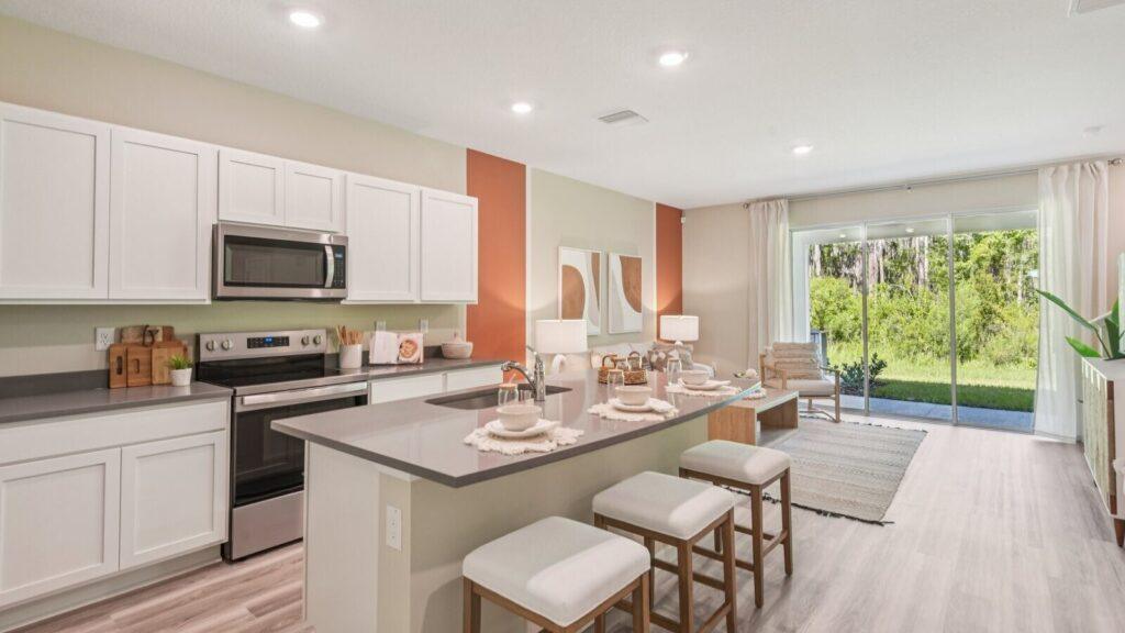 Sanctuary at Citrus Park Townhomes: Modern Living in North Tampa